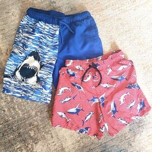 Bundle 2 Wonder Nation Shark Swim Trunks
